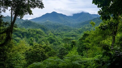 Poster - Lush tropical jungle landscape with misty mountains in the background : Generative AI