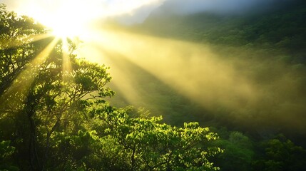 Poster - Stunning landscape view with sunlight rays breaking through the fog over lush green mountain : Generative AI