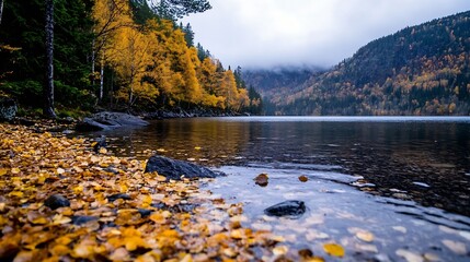 Poster - Vibrant autumn landscape with golden leaves near tranquil lake under cloudy sky : Generative AI