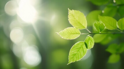 Poster - Fresh green leaves illuminated by sunlight symbolizing growth and vitality in nature during spring : Generative AI