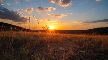 Aufkleber - Stunning sunset over rolling hills with golden grass creating a picturesque landscape at dusk : Generative AI
