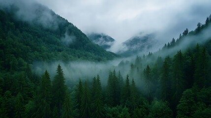 Aufkleber - Breathtaking dense forest landscape under foggy skies with lush greenery and majestic mountain backdrop : Generative AI