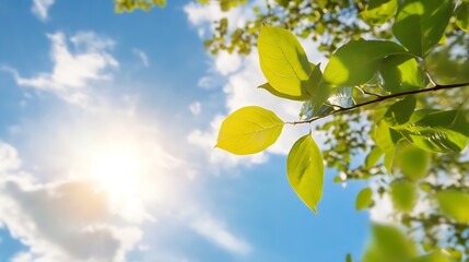Aufkleber - Sunlit Green Leaves Dancing Against a Vibrant Blue Sky in a Serene Natural Setting : Generative AI