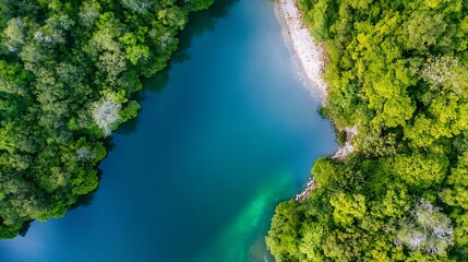 Poster - Aerial View of Serene Lake Surrounded by Lush Green Forests : Generative AI