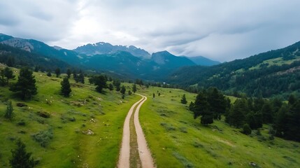 Poster - Winding dirt path leading through lush green meadows under a cloudy mountain sky : Generative AI