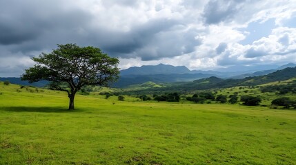 Aufkleber - Stunning landscape image of a single tree standing tall in a verdant green pasture under a cloudy sky : Generative AI