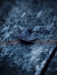 Leinwandbilder - Single dry leaf on a weathered wooden surface creating an artistic atmosphere : Generative AI