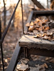 Leinwandbilder - Closeup view of an aged wooden staircase covered with dry autumn leaves in a serene outdoor setting : Generative AI
