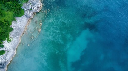 Aufkleber - Top view of serene ocean with clear turquoise water and green coastal vegetation at the shoreline : Generative AI