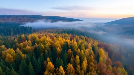Poster - Stunning panoramic view of autumn foliage with vibrant colors amidst dense fog and mountain peaks : Generative AI
