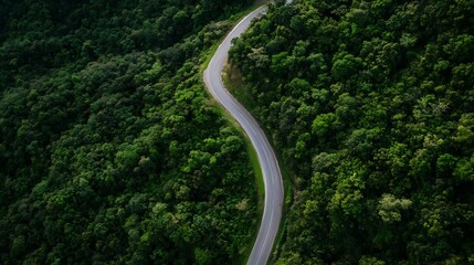 Aufkleber - Scenic Aerial View of a Winding Road Surrounded by Lush Green Forest Landscape : Generative AI