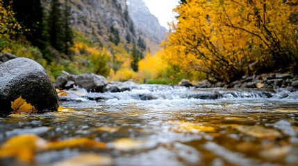 Poster - Serene river flowing through vibrant autumn landscape with yellow and orange foliage and rocky banks : Generative AI