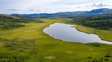 Poster - Aerial view of a serene green landscape featuring a calm lake surrounded by lush vegetation and distant mountains : Generative AI