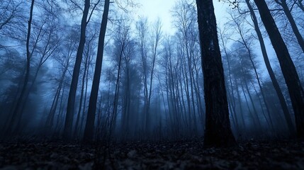 Fototapete - Eerie fog envelops tall trees in dark forest creating a mysterious and tranquil atmosphere at dusk : Generative AI