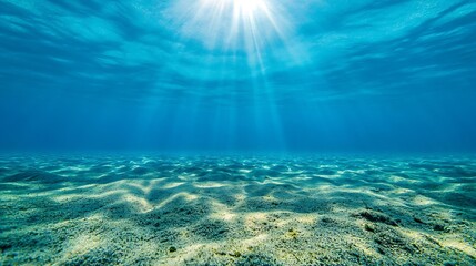 Poster - Underwater view of a serene sandy ocean floor illuminated by shafts of sunlight : Generative AI