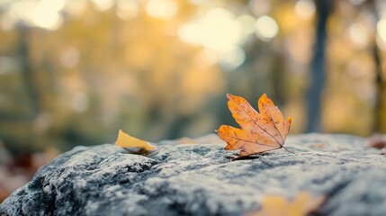 Poster - Single autumn maple leaf resting on a mossy rock surrounded by softly blurred background colors of fall scenery : Generative AI