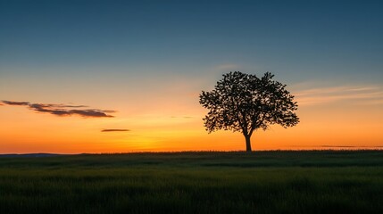Poster - Solitary tree silhouetted against a stunning sunset over a tranquil landscape : Generative AI