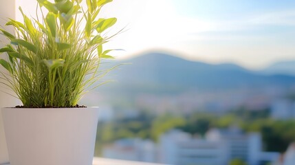 Aufkleber - Fresh green plant in a bright pot on a windowsill with a blurred city view in the background : Generative AI
