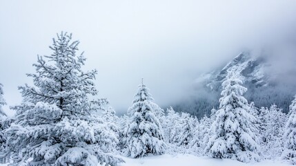 Poster - Snowcovered trees in a wintery landscape shrouded in mist and fog creating a serene atmosphere : Generative AI