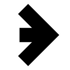 Wall Mural - black and white arrow