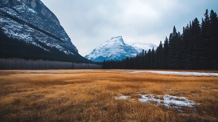 Aufkleber - Stunning view of bare trees and snowcovered mountains in a tranquil valley during winter season : Generative AI