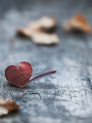 Leinwandbilder - A closeup view of a heartshaped red leaf resting on a weathered wooden surface surrounded by dried leaves : Generative AI