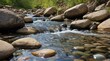 © Yevhen - Spring stream with clear water and rocky bottom, river, stones, pebbles