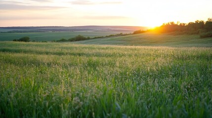 Aufkleber - Expansive view of green rolling hills at sunset capturing the tranquil beauty of nature's landscape : Generative AI