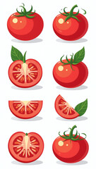 Wall Mural - cartoon vegetable set sliced tomatoes leaves white background illustrations