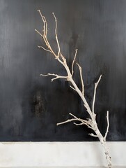Fototapete - Stylish dry branch showcased against a minimalistic black wall creating modern artistic decor : Generative AI