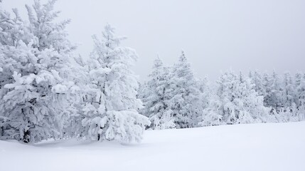 Aufkleber - Tranquil winter landscape showcasing snowcovered trees under overcast sky : Generative AI