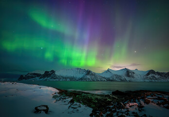 Wall Mural - aurora borealis or northern lights during winter night