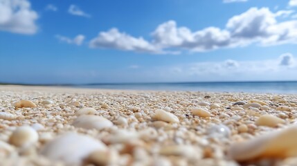 Leinwandbilder - Close up of sandy beach covered with natural seashells in bright sunlight on a clear blue sky day : Generative AI