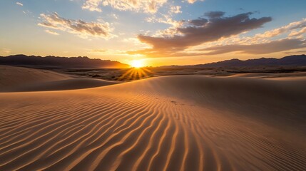 Leinwandbilder - Gorgeous desert sunset casting golden light over rippled sand dunes under a dramatic sky : Generative AI