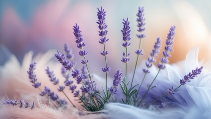Poster - Delicate lavender sprigs positioned against a soft and ethereal pastel background.