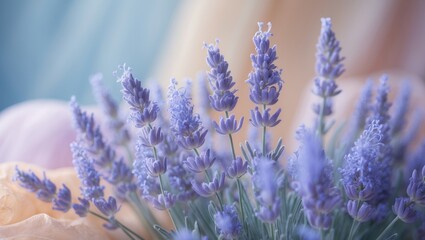 Aufkleber - Elegant lavender flowers arranged on a soft pastel backdrop.