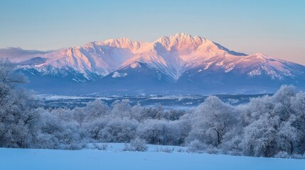 Poster - Majestic snow-capped mountains at sunrise, viewed from a frost-covered field.