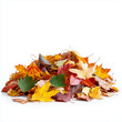 © Ryan Punnington - A sideview of a pile of autumn leaves with varied colors and natural arrangement on a white background