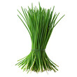 © Neo - A Chives Plant png herb plant png culinary chives png fresh chives png green herb png aromatic chives png transparent background image