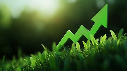 Growth program represented by green grass and upward arrow chart picture