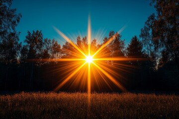 Aufkleber - Beautiful sunrise casting rays over a forest landscape in the early morning