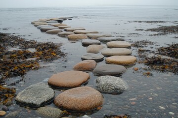 Aufkleber - Pathway of stones leads across the water to a serene horizon at the shoreline during low tide