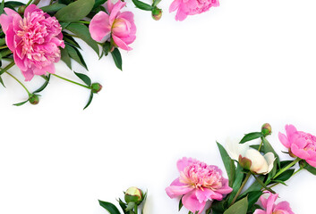 Wall Mural - pink and white peonies on a white background with space for text. top view, flat lay