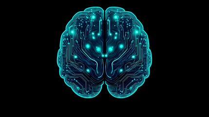 Canvas Print - human brain anatomy,