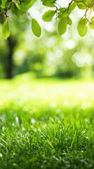 Wall Mural - Sunny spring grass, leaves, park background, nature scene