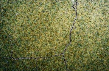 Wall Mural - Brown green old concrete wall surface. Dark olive color. Close-up. Rough background for design. Distressed, cracked, broken, crumbled.