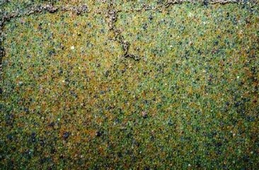 Wall Mural - Brown green old concrete wall surface. Dark olive color. Close-up. Rough background for design. Distressed, cracked, broken, crumbled.