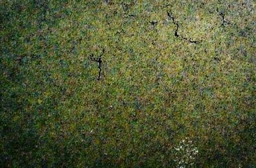 Wall Mural - Brown green old concrete wall surface. Dark olive color. Close-up. Rough background for design. Distressed, cracked, broken, crumbled.