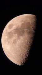 Wall Mural - half moon video through a telescope with turbulent atmosphere.