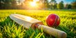 © Sirinporn - Cricket Bat and Ball on Grass - Summer Sports Equipment Stock Photo